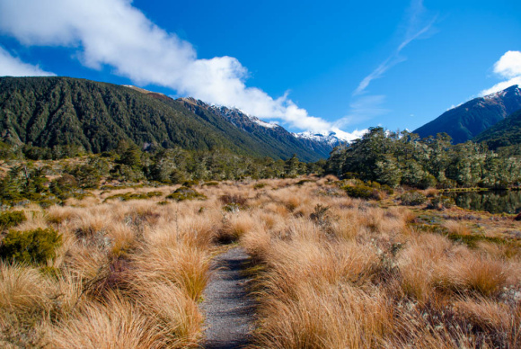 11003816304_980e987f46_b